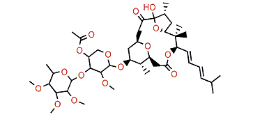 Polycavernoside B